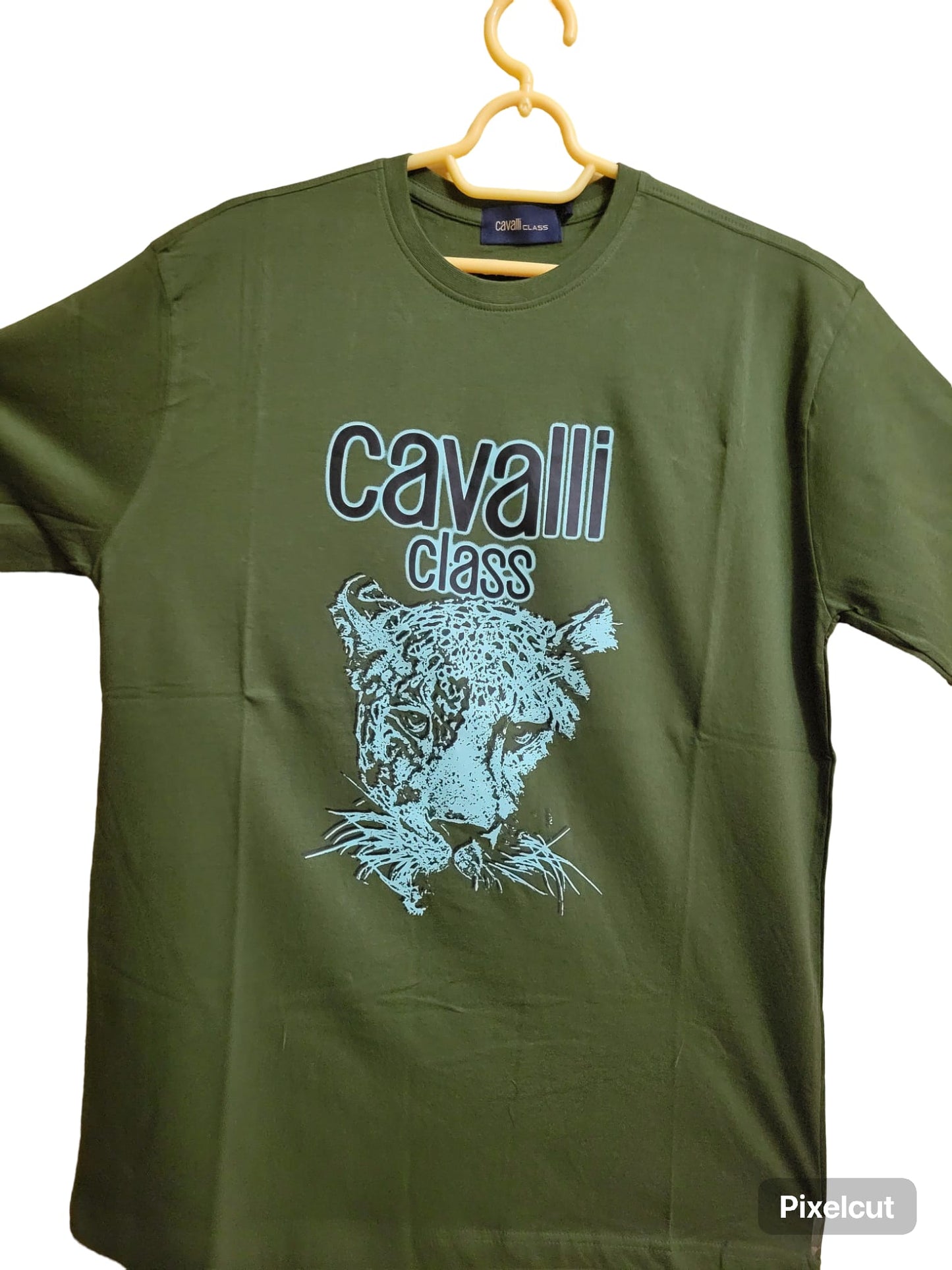 Camisa Cavilla Class - Green