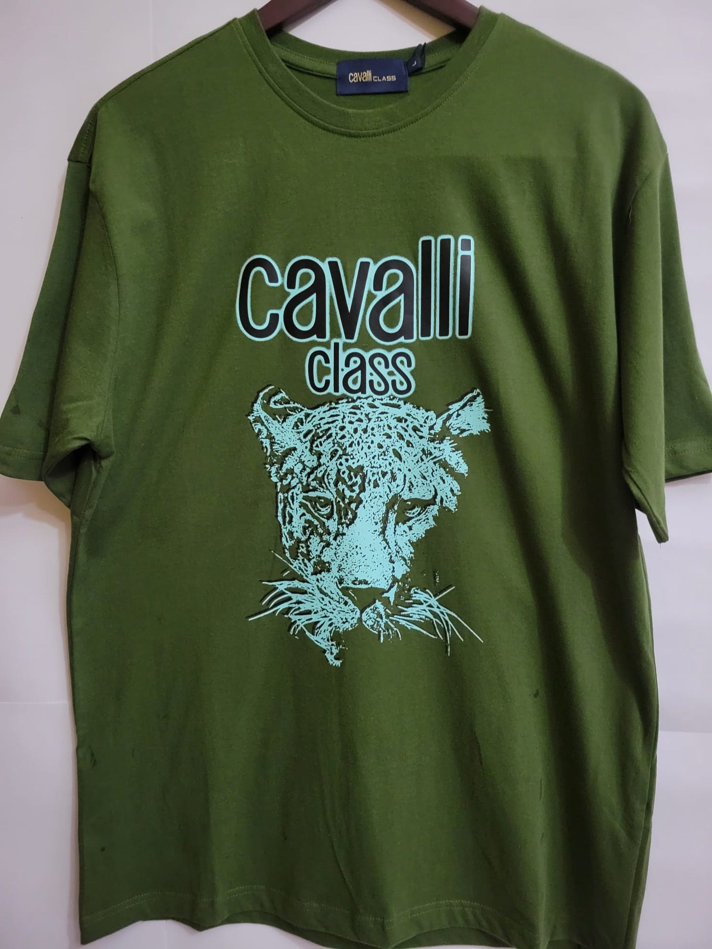 Camisa Cavilla Class - Green