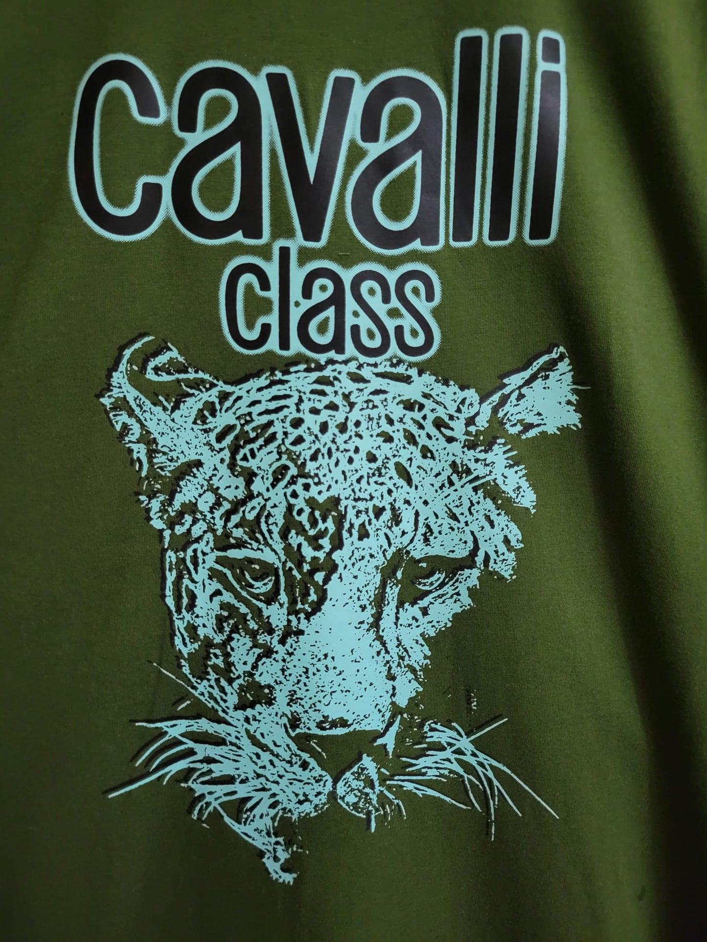 Camisa Cavilla Class - Green